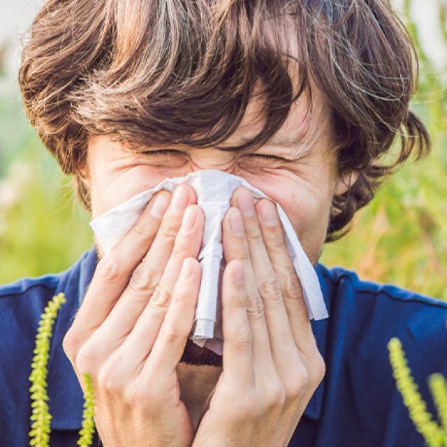 Alergia na trawy u dzieci i dorosłych - jakie są objawy i jak sobie z nią radzić